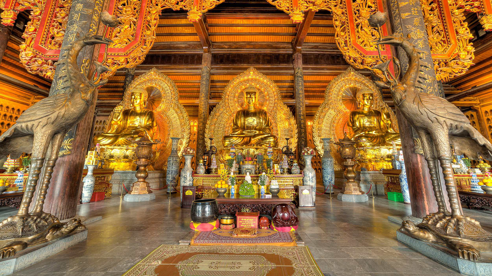 Day Tour | Visit Bai Dinh Pagoda - Trang An - Mua Cave